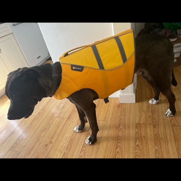 Almost new XL Ruffwear life jacket Ruffwear is the #1 company for companions - Picture 3 of 3